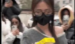 娱乐大爆料吃瓜视频下载,吃瓜视频下载背后的秘密